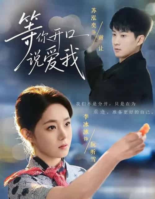 等你开口说爱我（60集全）苏泓奕＆李冰冰-紫橙网创项目网