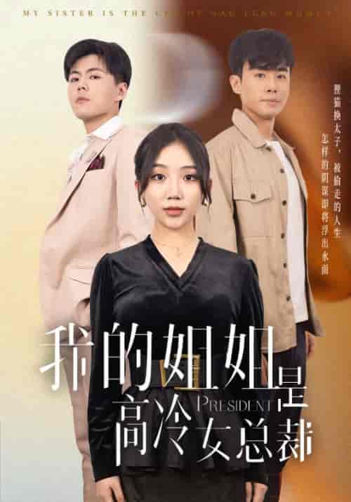 我的姐姐是高冷女总裁（42集全）徐劲＆杨紫玲 - 紫橙阁短剧