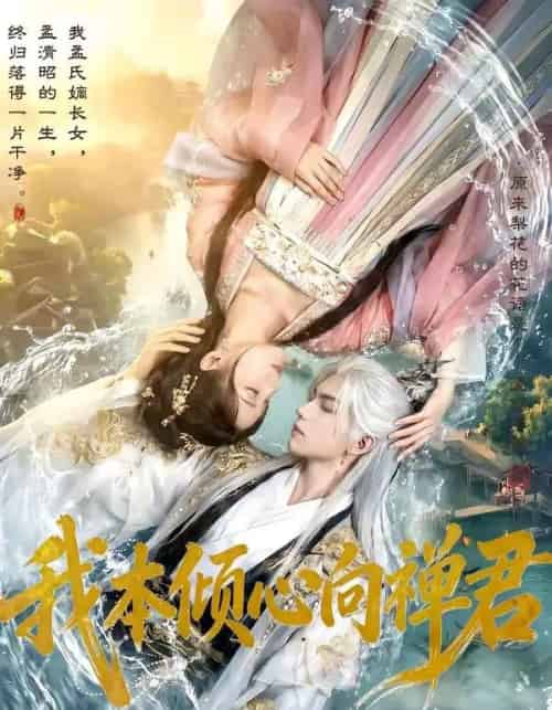 我本倾心向禅君（65集全）AI-紫橙网创项目网