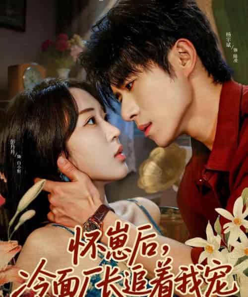 怀崽后，冷面厂长追着我宠（80集全）杨宇斌＆彭丹丹-紫橙网创项目网