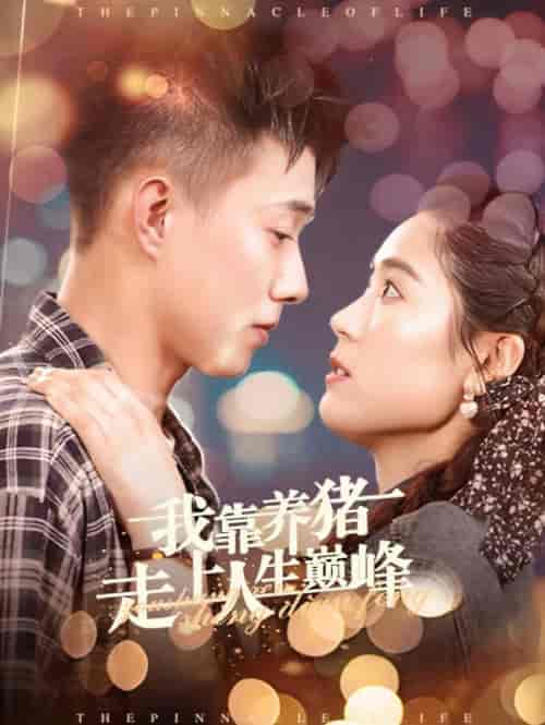 我靠养猪走上人生巅峰（60集全）黄文博＆翟一莹 - 紫橙阁短剧