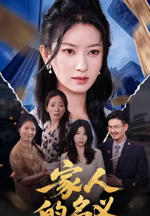 家人的名义 家人的名义