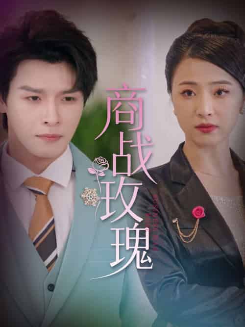商战玫瑰（30集）王思齐＆李彬航-紫橙网创项目网