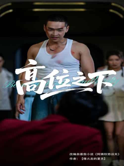 高位之下（65集）张家嘉＆赵龙 - 紫橙阁短剧