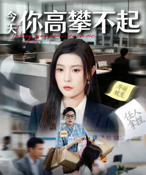 今天你高攀不起（68集全）郭浩田＆谢曜声-紫橙网创项目网