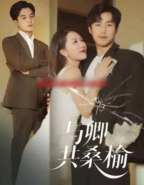 与卿共桑榆(63集全)贺龙天&钟嘉玲-紫橙网创项目网