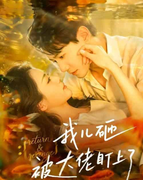 我儿砸被大佬盯上了(67集全)邱柏皓&胡少琛-紫橙网创项目网