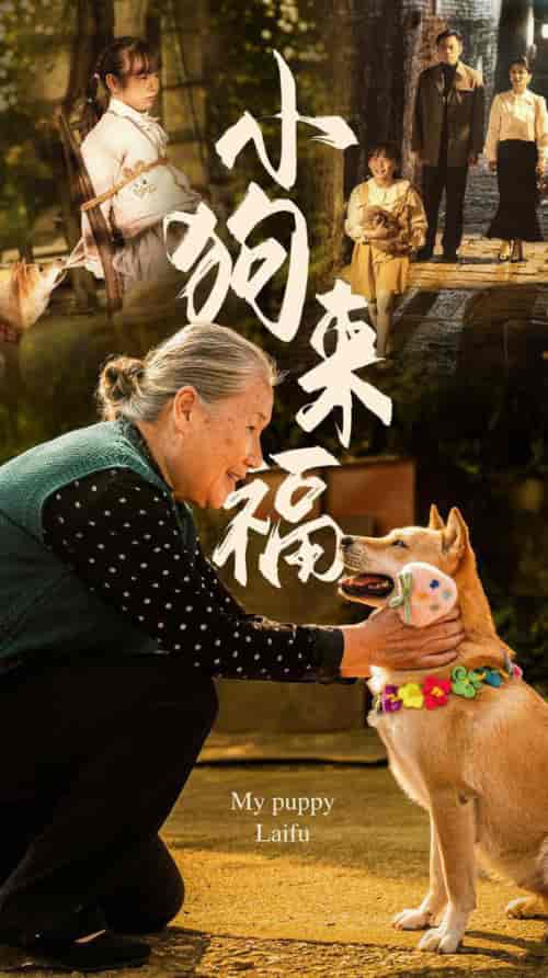 小狗来福（30集全） - 紫橙阁短剧