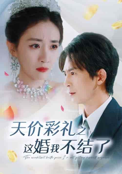 天价彩礼之这婚我不结了（32集全）邰靖懿 - 紫橙阁短剧