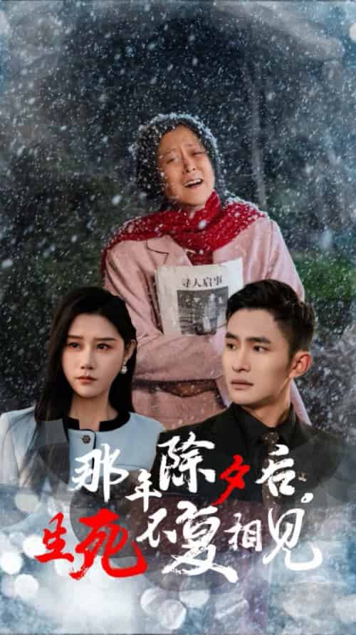 那年除夕后生死不复相见（48集）魏昕怡 - 紫橙阁短剧