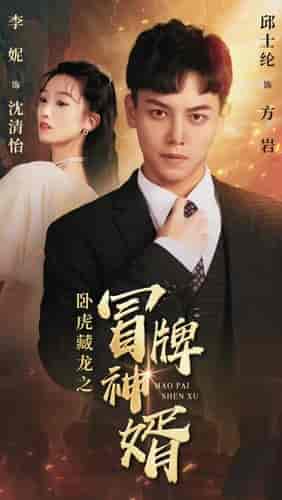 卧虎藏龙之冒牌神婿（85集）李妮 - 紫橙阁短剧