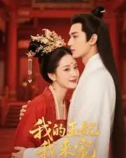 王妃我来宠&我的王妃我来宠(15集全)Ai-紫橙网创项目网