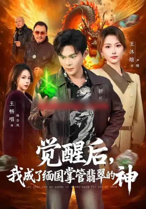 觉醒后，我成了缅国掌管翡翠的神（71集全）王沐暄＆祈乐-紫橙网创项目网