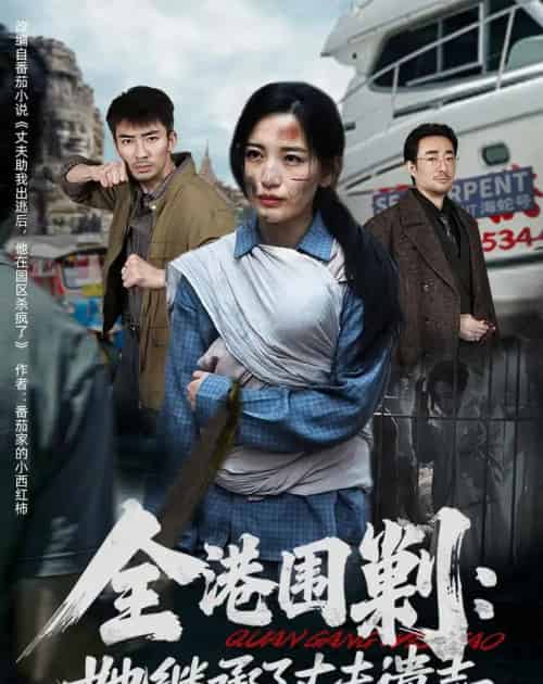 全港围剿：她继承了丈夫遗志（84集全）李雪莹＆张瀚文-紫橙网创项目网