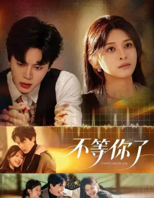 不等你了（60集全）徐扬灏＆张婷婷-紫橙网创项目网