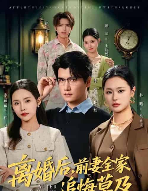 离婚后，前妻全家追悔莫及（80集全）李苗苗＆徐霄-紫橙网创项目网