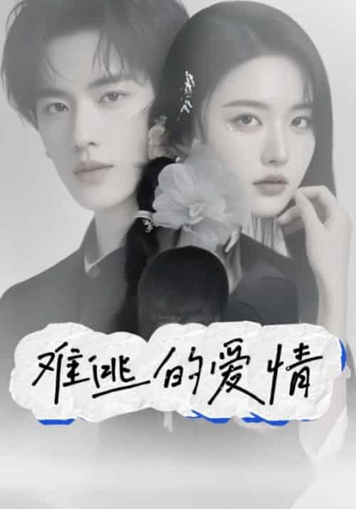 难逃的爱情（48集全）秦朗＆许梦妍 - 紫橙短剧