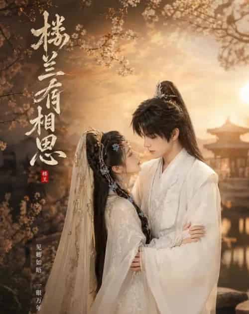 楼兰有相思(50集全)AI-紫橙网创项目网
