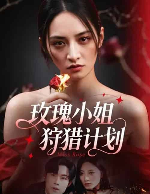 玫瑰小姐狩猎计划 (60集全)敖日格乐&李虹艺-紫橙网创项目网