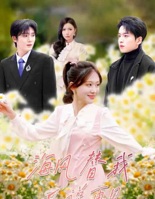 海风替我说再见(80集全)张昊旸&柴慧欣-紫橙网创项目网