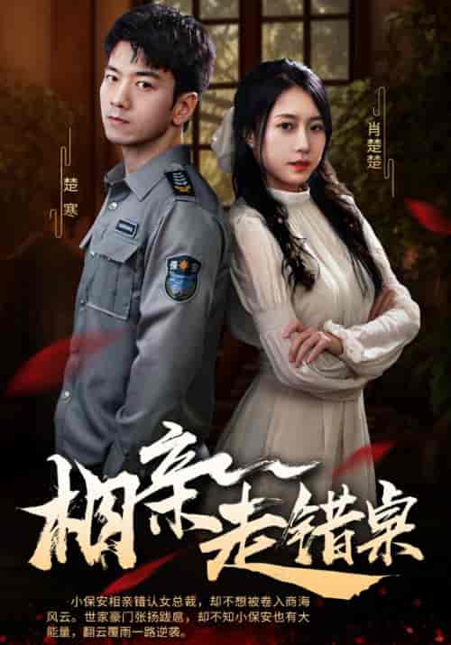 相亲走错桌（88集全）楚寒＆肖楚楚 - 紫橙阁短剧