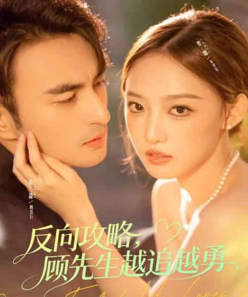 反向攻略，顾先生越追越勇（69集全）韩淼＆曹璐-紫橙网创项目网