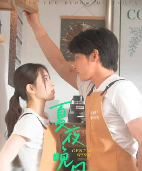 夏夜晚风（12集）何衍朝＆蔡子伊 - 紫橙阁短剧