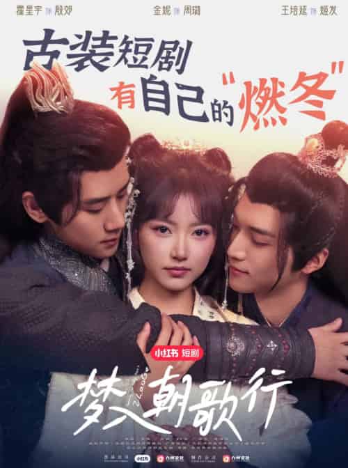 梦入朝歌行（40集）王培延＆包金妮＆霍星宇 - 紫橙短剧