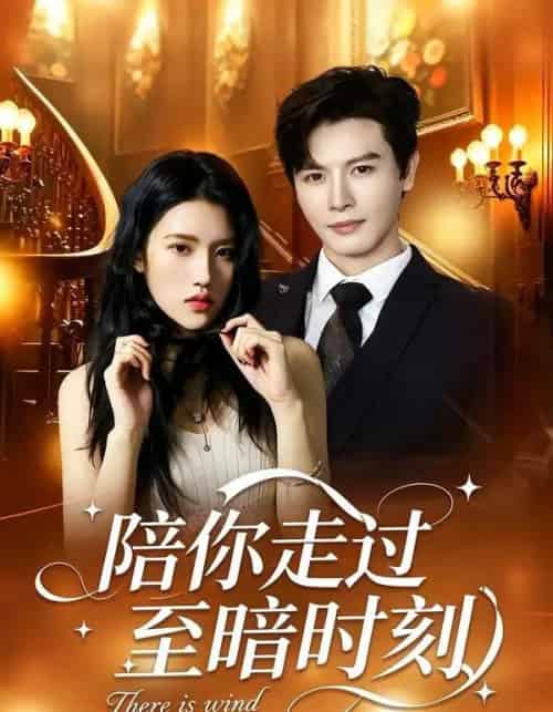 陪你走过至暗时刻（80集全）李彬航＆张沐桐 - 紫橙阁短剧