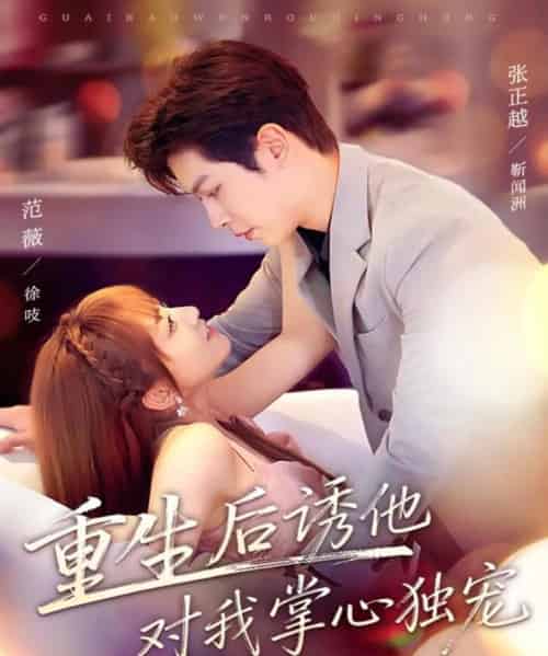 重生后诱他对我掌心独宠（81集全）张正越＆范薇-紫橙网创项目网