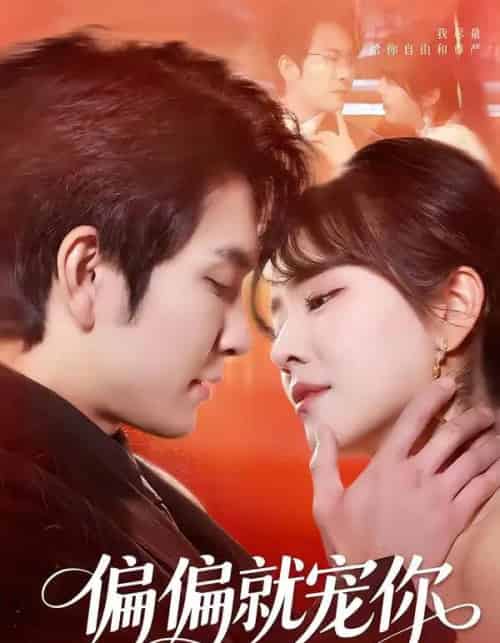 偏偏就宠你（82集全）王已歌＆李雪丹-紫橙网创项目网