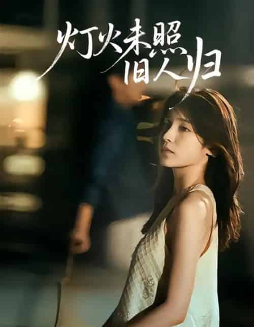 灯火未照旧人归 灯火未照旧人归
