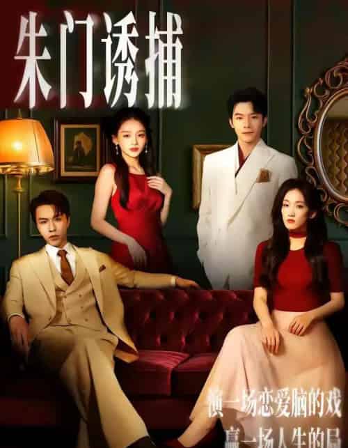 朱门诱捕（45集全）李红雨＆王典典-紫橙网创项目网