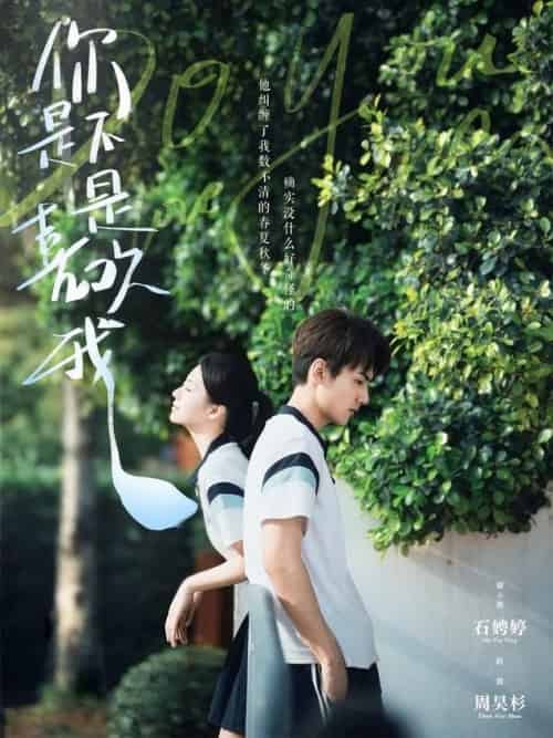 你是不是喜欢我（68集全）周昊杉＆时童 - 紫橙阁短剧