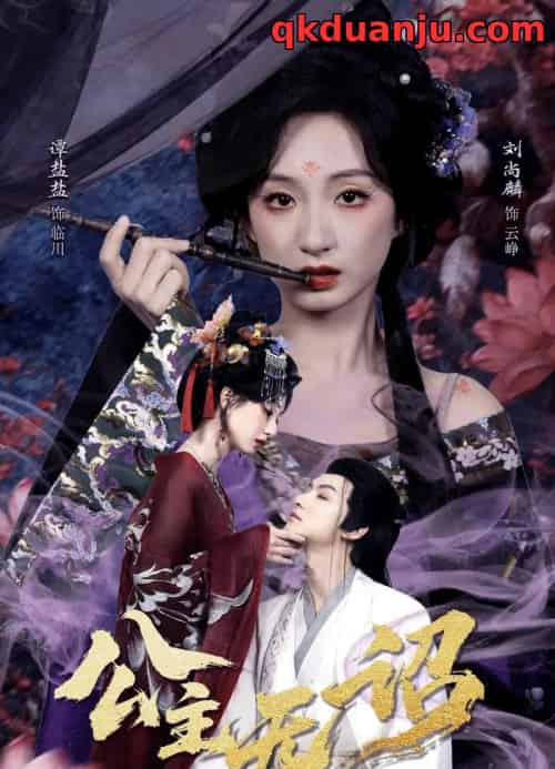 公主无诏＆红绫三尺落朱墙（60集全）刘尚麟＆谭盐盐-紫橙网创项目网