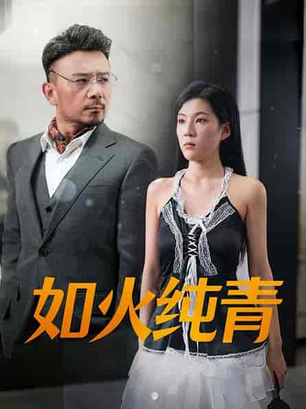 如火纯青（45集全） - 紫橙阁短剧