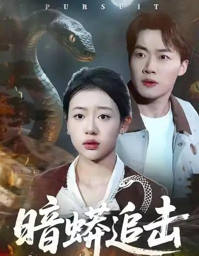 暗蟒追击（35集全）王盈心＆赵文硕-紫橙网创项目网