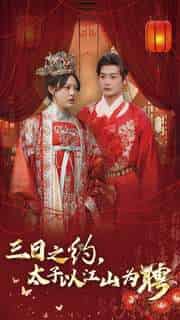 三日之约太子以江山为聘（30集全）徐涵琳 - 紫橙阁短剧