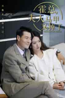 总裁夫人惹不起&霍总,夫人马甲又掉了 总裁夫人惹不起&霍总,夫人马甲又掉了