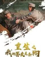 重生之我的男友是条狗（43集全） - 紫橙阁短剧