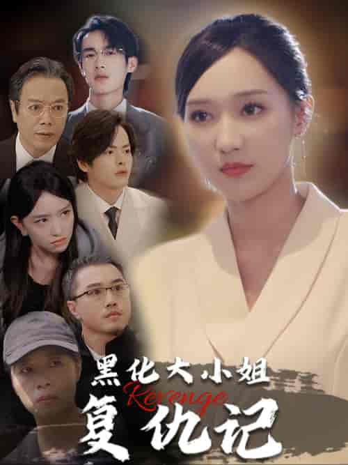 黑化大小姐复仇记(41集全)-紫橙网创项目网