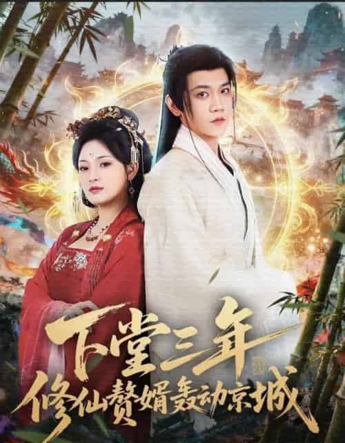 下堂三年修仙赘婿轰动京城（60集全）刘雪君＆苗雨峤-紫橙网创项目网