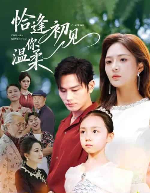 恰逢初见你温柔(86集全)曹景皓&刘美娜-紫橙网创项目网