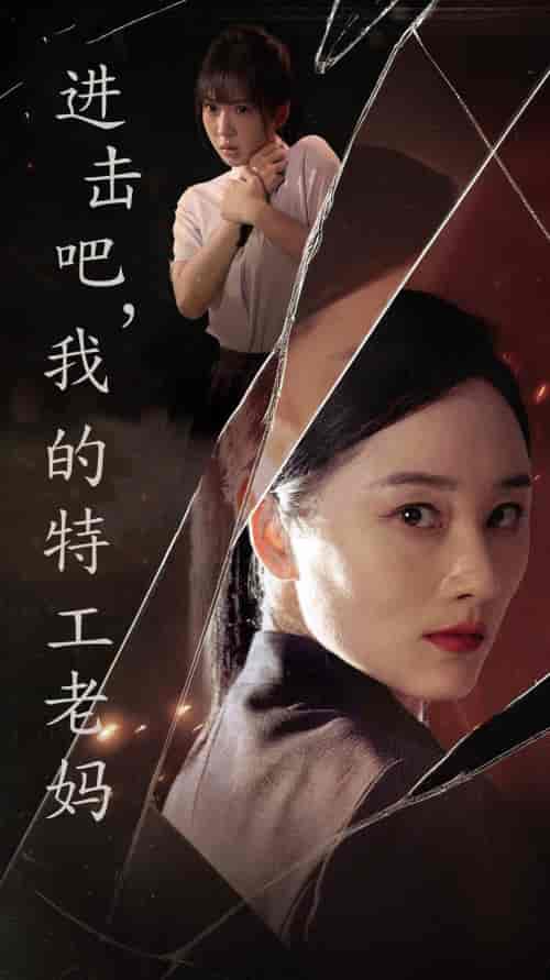 进击吧,我的特工老妈 进击吧,我的特工老妈