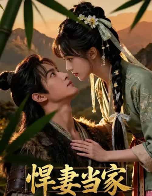 悍妻当家（52集全）AI-紫橙网创项目网