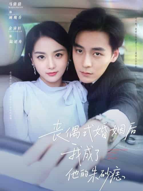 丧偶式婚姻后我成了他的朱砂痣（81集全）余沛杉＆马倩倩 - 紫橙阁短剧