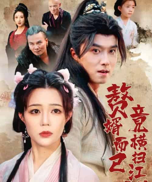 赘婿而已竟横扫江湖(64集全)王振&章圻悦-紫橙网创项目网