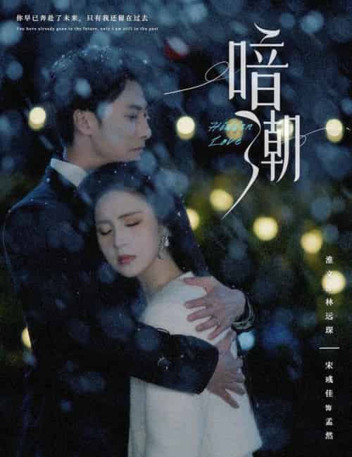 暗潮（58集全）淮文＆宋彧佳＆李兼任＆＆蹇代莉 - 紫橙阁短剧