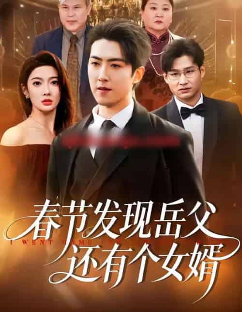 春节发现岳父还有个女婿(50集全)赵阿东&沈玥妡-紫橙网创项目网