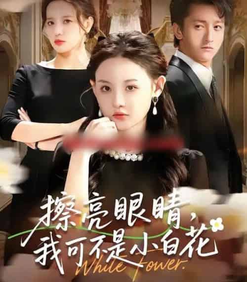 擦亮眼睛，我可不是小白花（60集全）刘安歌＆李泽源-紫橙网创项目网